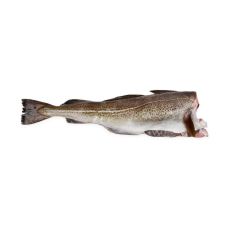 Menkė Atlantinė (Skrei Cod), skrost., b/g, 2-4kg, atvės.