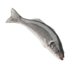 Jūrasasaris (Seabass), ķid., 800-1000g, sald., ~1.2-2kg, PPAC