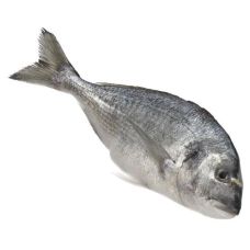 Jūraskarūsa zeltainā (Dorada), neķid., 1000g+, atvēs, 1*10kg, Grieķija