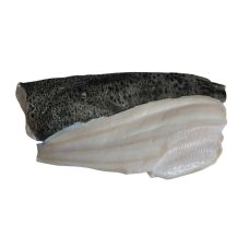 Atlantic wolffish fillet (catfish fillet), skin on, 400+g, chilled