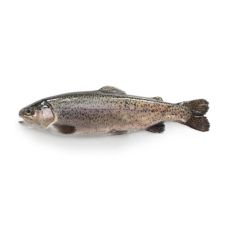 Forele Varavīksnes, ķid., a/g, 260-280g, sald., IQF, 1*5kg (t.s. 4.5kg)