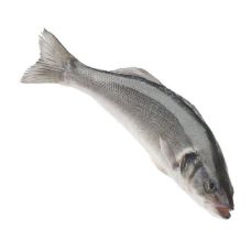 Huntahven (Seabass), roogitud, 300-400g, IQF, 1*5kg (n.k. 4kg), Isola