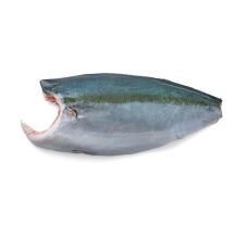 Lakedra dzeltenastes (Yellowtail Hamachi), fileja, a/ā,, 1.3-1.7kg, sald., IQF, IVP, 1*~10kg (t.s ~10kg)