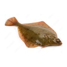 Akmeņplekste (Turbot), ķid., 1,5-2kg, sald., IQF, 1*~13.5 kg