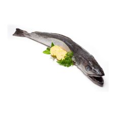 Hake, gutted, head on, 800-1200 g, chilled, 1*6kg, France