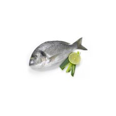 Seabream, gutted, 240-320g, chilled, 1*6kg, Greece