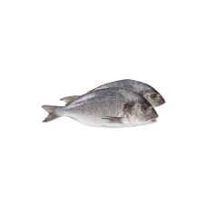 Seabream, gutted, 300-400g, frozen, ~1.2-2kg, PPAC