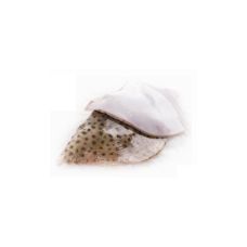 Raywings, skin on, 400-900g, chilled, 1*3kg