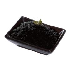 Икра мойвы MASAGO BLACK, заморож., 20*500g