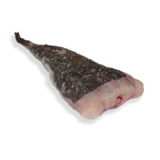 Monkfish tail, head off, 2-4kg, chilled