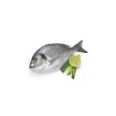 Seabream, not gutted, 400-600g, chilled, 1*6kg, Greece