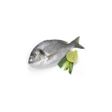 Seabream, not gutted, 300-400g, chilled, 1*6kg, Greece