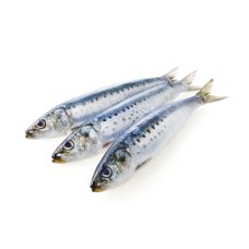 Сардины (Sardine), непотрош., 50/60, охл., 1*6кг