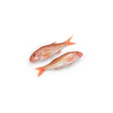 Red mullet, not gutted, 200-300g, chilled, 1*3kg