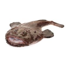 Monkfish, head on, 3+kg, chilled