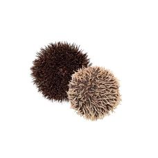 Jūras ezis (Sea Urchin), 50-150g, atvēs., Islande, 1*3kg