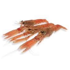 Омар Норвежский (Langoustines), 31/40, охл., 1*3кг