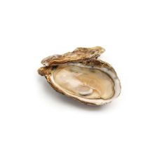 Oysters Creuses 2 (80-100g), 6pcs, Netherlands