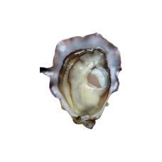 Oyster Creuses SP POESIE 3 (60-80g), 12pcs, France