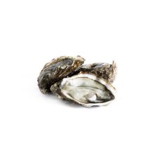 Oysters Creuses FINE 2 (80-100g), 50pcs, BIO, France