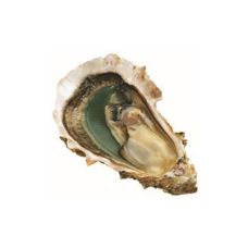 Oysters Creuses SP BLACK PEARL 3 (60-80g), 12 pcs, France