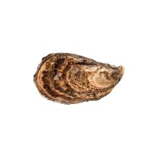 Oysters Creuses SP GILLARDEAU 0 (150-200g), 24pcs, France