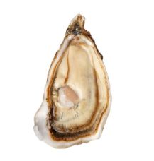 Oysters Creuses Supreme 2 (80-100g), 12pcs, Ireland