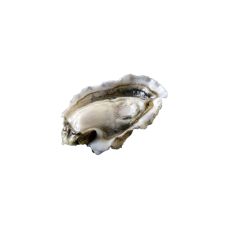 Oysters Creuses SP Woeste 2 (80-100g), 48pcs, Ireland