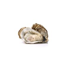 Oysters SP IRISH MOR 2 (80-100g), 24 pcs, Ireland