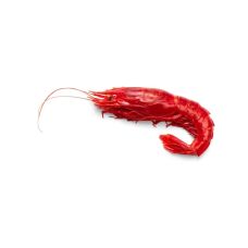 Shrimps Carabinero whole, 10-20, frozen, 24*400g