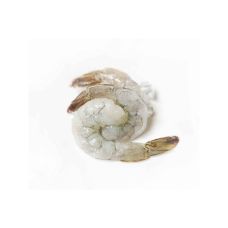 Shrimp, peeled, tail on, 16/20, Vannamei, frozen, IQF, 10*1kg (n.w. 750g), (P.Vannamei), RSeafood