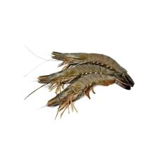 Garneles veselas, 16/20, Black Tiger, sald., 10*1kg (t.s. 750g), (P.Monodon)