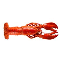 Lobster Canadian, cooked, MSC, frozen, IQF, 10*300g