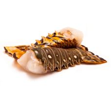 Langusts (Spiny Lobster), astes., 390-450g, sald., IQF, 1*4.54kg, Bahamas