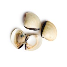 Gliemenes Clams (White), ASC, 60/80, sald., IQF, vak., 10*1kg