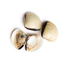 Karbid Clams (White), 60/80, külm., IQF, vaak., 10*1kg