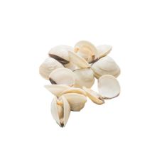 Clams (White), 60/80, frozen, IQF, vac., 10*1kg