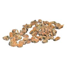 Midijų mėsa, 100/200, šald., IQF, 1*10 kg (gr. k. 9 kg)
