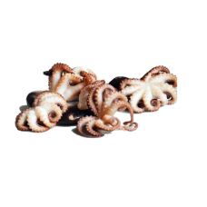 Octopus, 60+, frozen, IQF, 12*1kg (n.w. 800g)