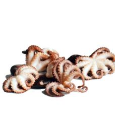 Octopus, 60+, frozen, 10*1kg (n.w. 800g)