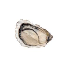 Oysters Creuses SP FLEUR DES EAUX 2 (80), 24pcs, France