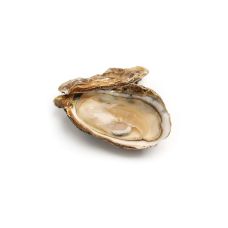 Oysters Creuses 1 (100-120g), 50pcs, Netherlands