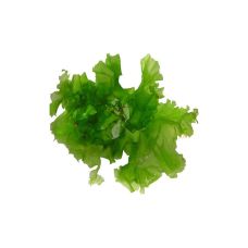 Водоросли SEA LETTUCE, 120г, Франция