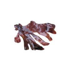 Jūras zāles DULSE, 120g, Francija