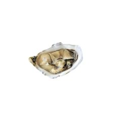 Oysters Creuses SP AVEIRO 3 (60-80g), 24pcs, Portugal