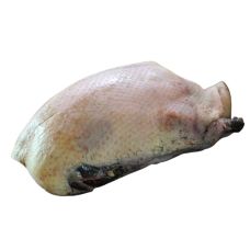 Duck, whole, wild, oven ready, chilled, 10*~500-700g