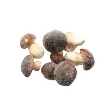 Mushrooms Boletus edulis, whole, 2-4cm, IQF, 10*1kg