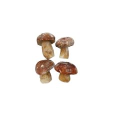 Mushrooms Boletus edulis, whole, 2-4cm, frozen, IQF, 5*1kg