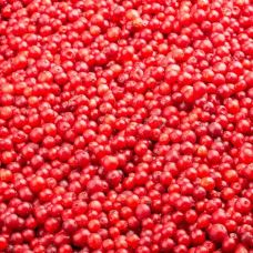 Brūklenes, sald., IQF, 4*2.5kg