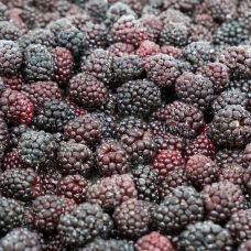 Blackberries, 1 class, frozen, IQF, 4*2.5kg